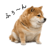 883181628