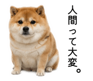 883181630