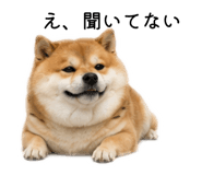 883181631