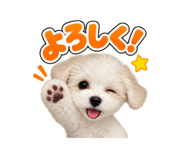 883191610