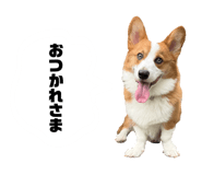 883192609