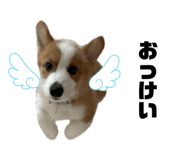883192612