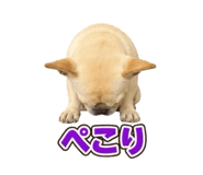 883192723