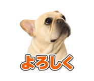 883192725