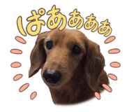 883193796