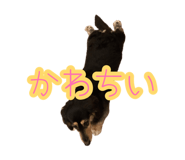 883193802