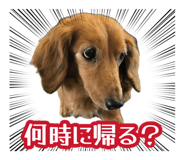 883193805