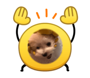 883194039
