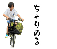 883194069