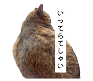 883197591