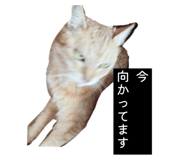 883197595