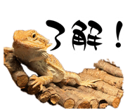 883197660
