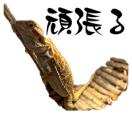 883197661