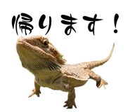 883197663