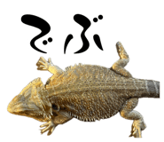 883197664