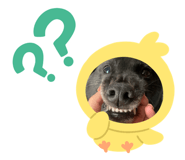 883198823