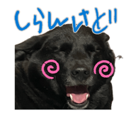 883198825