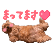 883198827