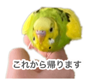 883200999