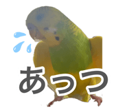 883201002