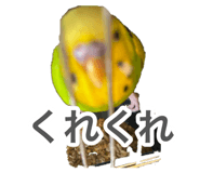 883201004