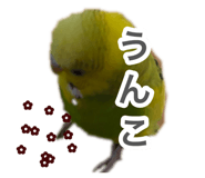 883201005