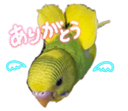 883201006