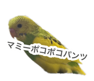 883201007