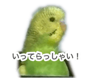 883201008