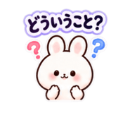 883202904