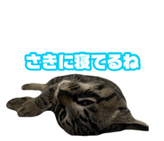 883203846