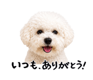 883204232