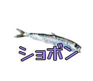 883206433