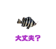 883206437