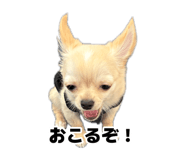 883207175