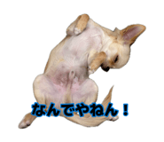 883207176
