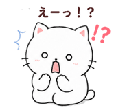 883208004