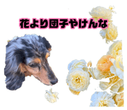 883208199