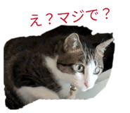 883209227