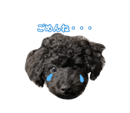 883210688