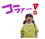 883211393