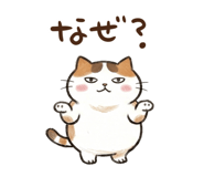 883214099