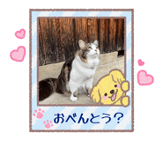 883217975