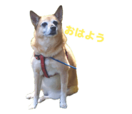 883218196