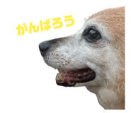 883218199