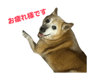 883218200