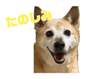 883218201