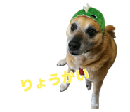 883218203