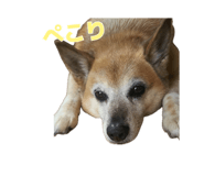 883218205