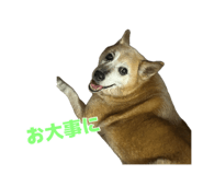 883218208